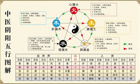 中醫陰陽五行學說|中醫基礎理論數位教材